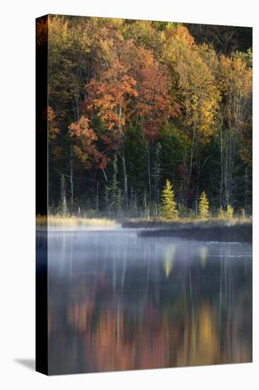 Autumn colors and mist on Council Lake at sunrise, Hiawatha National Forest, Michigan.-Adam Jones-Stretched Canvas
