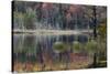 Autumn colors and mist on Council Lake at sunrise, Hiawatha National Forest, Michigan.-Adam Jones-Stretched Canvas