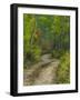 Autumn Colors and Road in Kebler Pass, Colorado, USA-Julie Eggers-Framed Photographic Print