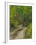 Autumn Colors and Road in Kebler Pass, Colorado, USA-Julie Eggers-Framed Photographic Print