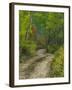 Autumn Colors and Road in Kebler Pass, Colorado, USA-Julie Eggers-Framed Photographic Print