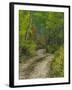 Autumn Colors and Road in Kebler Pass, Colorado, USA-Julie Eggers-Framed Photographic Print