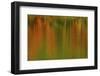 Autumn colors at Echo Lake, Echo Lake SP, New Hampshire, USA-Michel Hersen-Framed Photographic Print