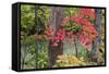Autumn Colors at Independence State Park in Defiance, Ohio, USA-Chuck Haney-Framed Stretched Canvas