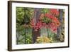 Autumn Colors at Independence State Park in Defiance, Ohio, USA-Chuck Haney-Framed Photographic Print