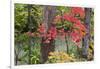 Autumn Colors at Independence State Park in Defiance, Ohio, USA-Chuck Haney-Framed Photographic Print