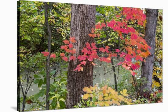 Autumn Colors at Independence State Park in Defiance, Ohio, USA-Chuck Haney-Stretched Canvas