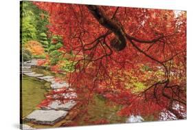 Autumn colors, British Columbia, Canada-Stuart Westmorland-Stretched Canvas