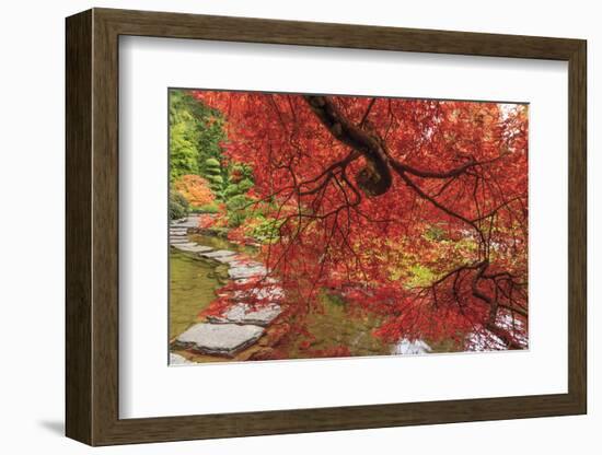 Autumn colors, British Columbia, Canada-Stuart Westmorland-Framed Photographic Print