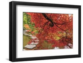 Autumn colors, British Columbia, Canada-Stuart Westmorland-Framed Photographic Print