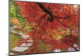 Autumn colors, British Columbia, Canada-Stuart Westmorland-Mounted Photographic Print