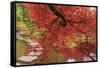 Autumn colors, British Columbia, Canada-Stuart Westmorland-Framed Stretched Canvas