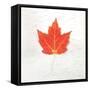 Autumn Colors I-Sue Schlabach-Framed Stretched Canvas