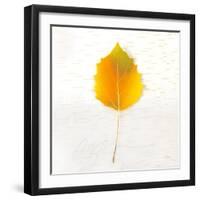 Autumn Colors III-Sue Schlabach-Framed Art Print