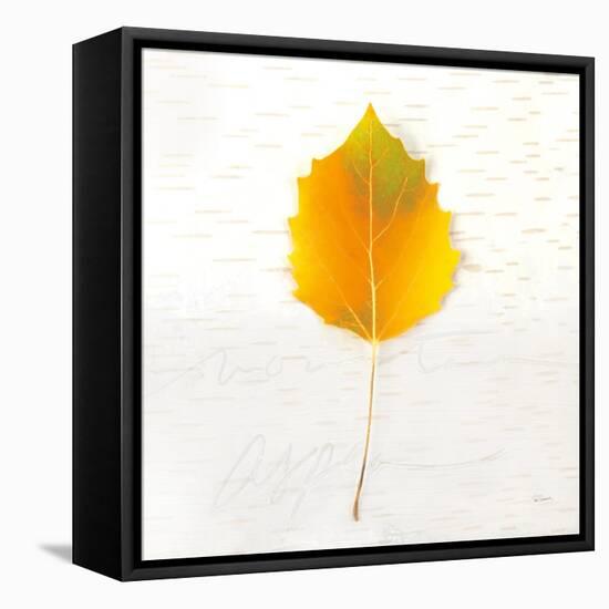 Autumn Colors III-Sue Schlabach-Framed Stretched Canvas