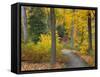 Autumn Colors in Black and White, Longwood Gardens, Pennsylvania, Usa-Adam Jones-Framed Stretched Canvas