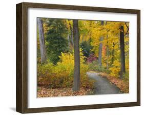 Autumn Colors in Black and White, Longwood Gardens, Pennsylvania, Usa-Adam Jones-Framed Photographic Print