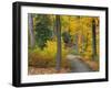 Autumn Colors in Black and White, Longwood Gardens, Pennsylvania, Usa-Adam Jones-Framed Photographic Print