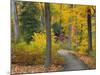 Autumn Colors in Black and White, Longwood Gardens, Pennsylvania, Usa-Adam Jones-Mounted Photographic Print