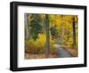 Autumn Colors in Black and White, Longwood Gardens, Pennsylvania, Usa-Adam Jones-Framed Photographic Print