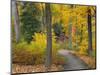 Autumn Colors in Black and White, Longwood Gardens, Pennsylvania, Usa-Adam Jones-Mounted Photographic Print