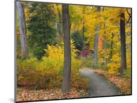 Autumn Colors in Black and White, Longwood Gardens, Pennsylvania, Usa-Adam Jones-Mounted Photographic Print