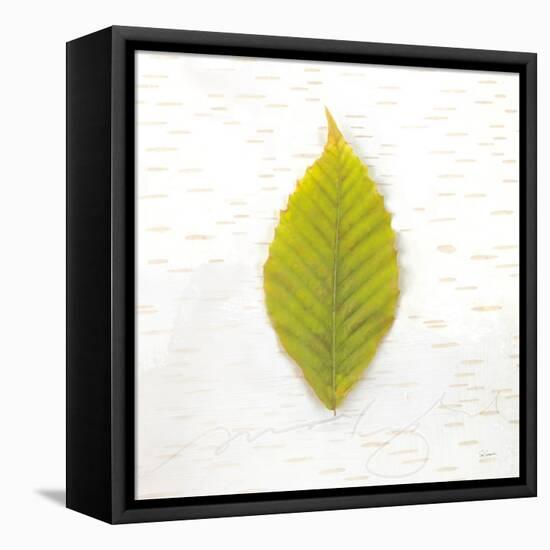 Autumn Colors IV-Sue Schlabach-Framed Stretched Canvas