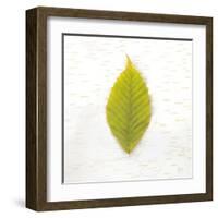 Autumn Colors IV-Sue Schlabach-Framed Art Print