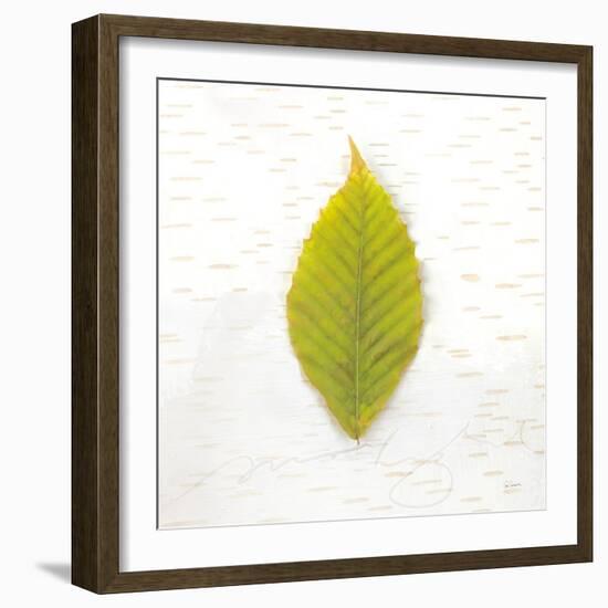 Autumn Colors IV-Sue Schlabach-Framed Art Print