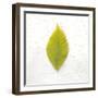 Autumn Colors IV-Sue Schlabach-Framed Art Print