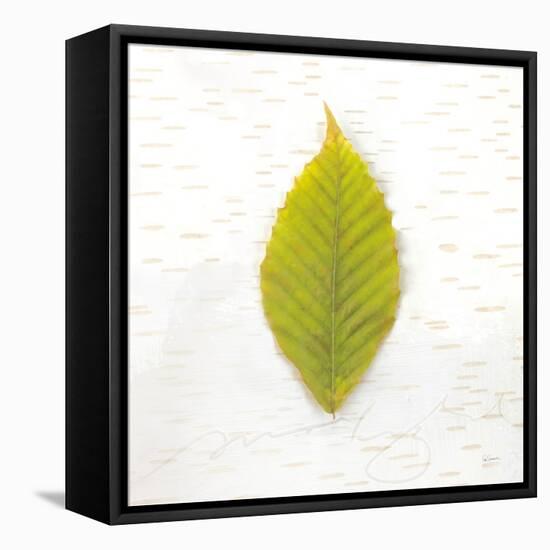 Autumn Colors IV-Sue Schlabach-Framed Stretched Canvas