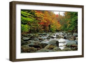 Autumn Colors, Lost River, New Hampshire-George Oze-Framed Photographic Print