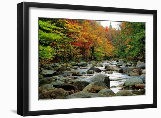 Autumn Colors, Lost River, New Hampshire-George Oze-Framed Photographic Print