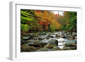 Autumn Colors, Lost River, New Hampshire-George Oze-Framed Photographic Print