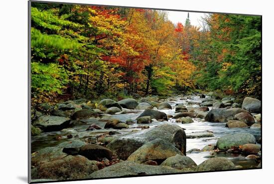 Autumn Colors, Lost River, New Hampshire-George Oze-Mounted Photographic Print