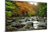 Autumn Colors, Lost River, New Hampshire-George Oze-Mounted Photographic Print