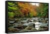 Autumn Colors, Lost River, New Hampshire-George Oze-Framed Stretched Canvas