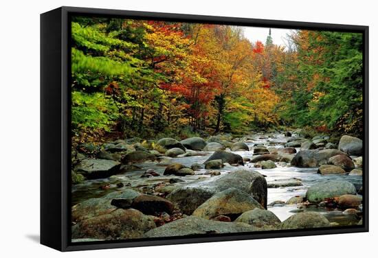 Autumn Colors, Lost River, New Hampshire-George Oze-Framed Stretched Canvas