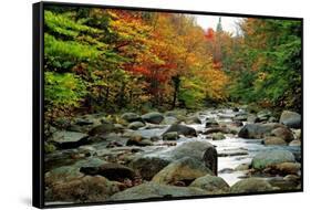 Autumn Colors, Lost River, New Hampshire-George Oze-Framed Stretched Canvas
