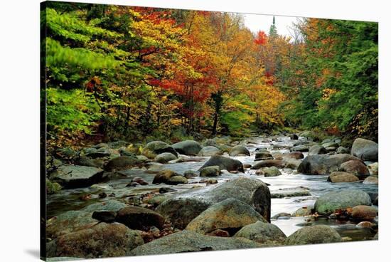 Autumn Colors, Lost River, New Hampshire-George Oze-Stretched Canvas