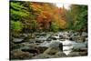 Autumn Colors, Lost River, New Hampshire-George Oze-Stretched Canvas