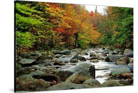 Autumn Colors, Lost River, New Hampshire-George Oze-Stretched Canvas