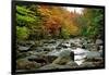 Autumn Colors, Lost River, New Hampshire-George Oze-Framed Photographic Print