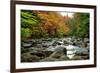 Autumn Colors, Lost River, New Hampshire-George Oze-Framed Photographic Print