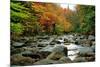 Autumn Colors, Lost River, New Hampshire-George Oze-Mounted Photographic Print