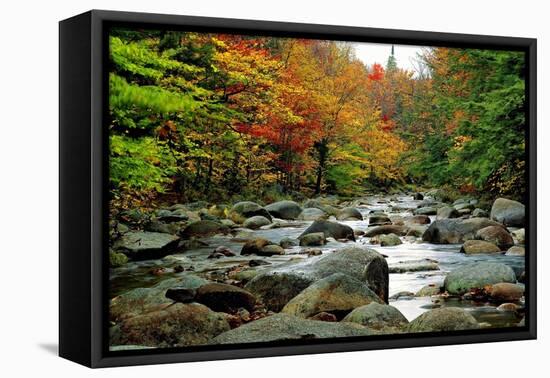 Autumn Colors, Lost River, New Hampshire-George Oze-Framed Stretched Canvas