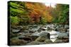 Autumn Colors, Lost River, New Hampshire-George Oze-Stretched Canvas