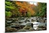 Autumn Colors, Lost River, New Hampshire-George Oze-Mounted Photographic Print