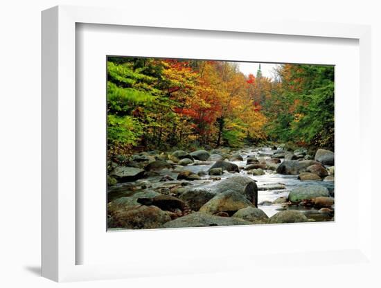 Autumn Colors, Lost River, New Hampshire-George Oze-Framed Photographic Print