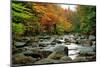 Autumn Colors, Lost River, New Hampshire-George Oze-Mounted Photographic Print